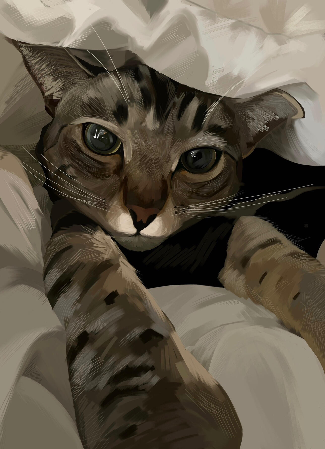 Tabby Cat Comm (bg) Tabby Cat Comm (bg)